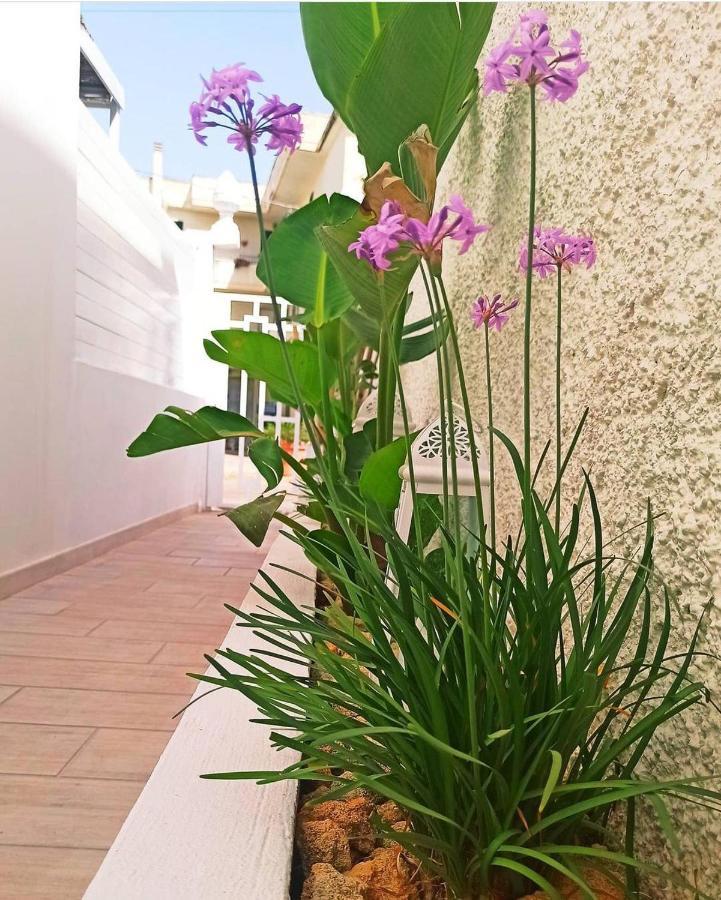 B&B Suites Via Del Mare Presicce Ngoại thất bức ảnh