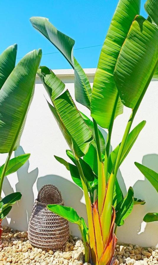 B&B Suites Via Del Mare Presicce Ngoại thất bức ảnh